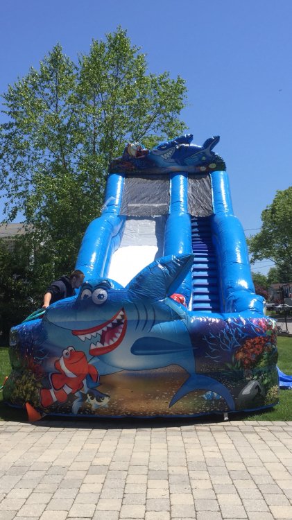 SHARK SLIDE 15X30